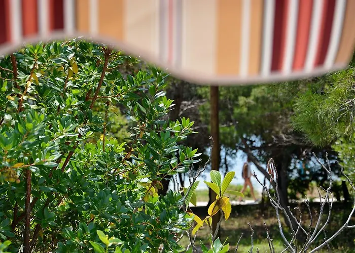 Kister Apartman Petrcane